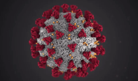 SARS-CoV-2 virus model