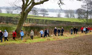 walkers