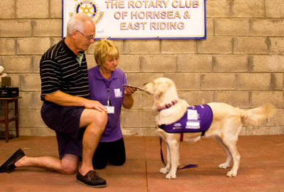 dogcheque